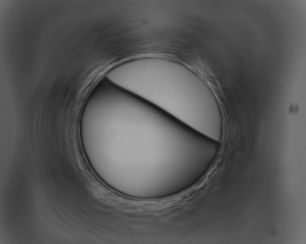 X0000095670001200801151114