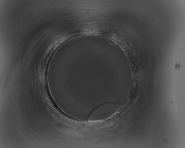 X0000095670002200801151114