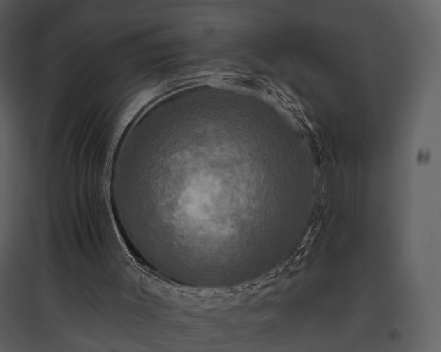 X0000095670003200801151114