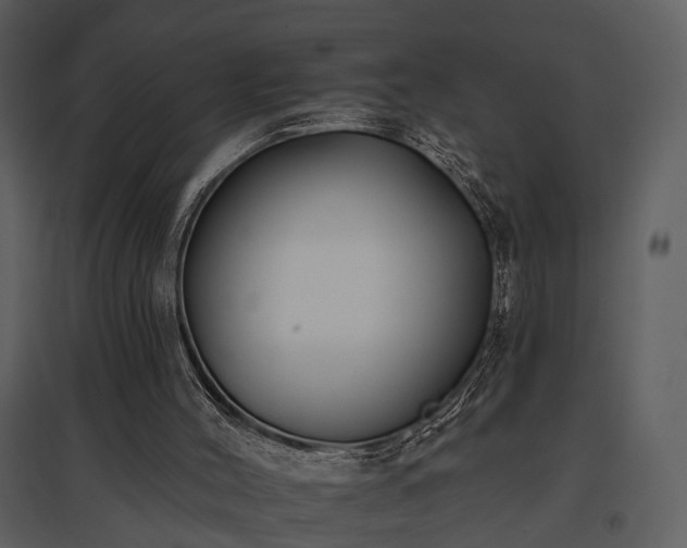 X0000095670004200801151114