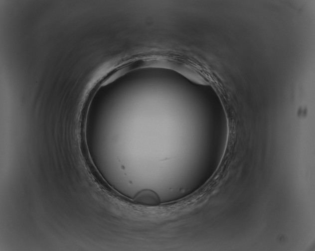 X0000095670006200801151114