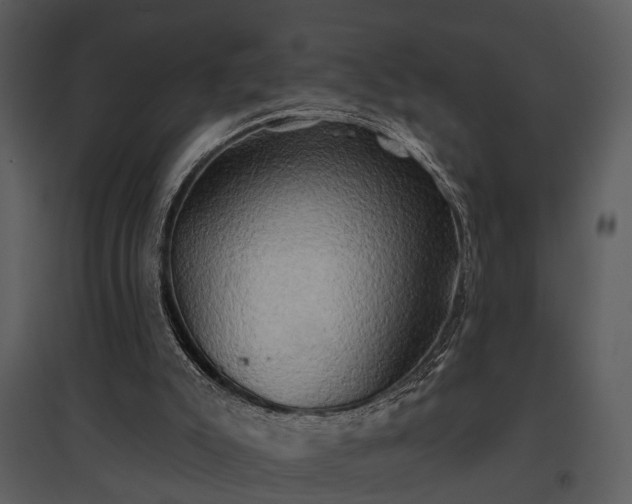 X0000095670007200801151114