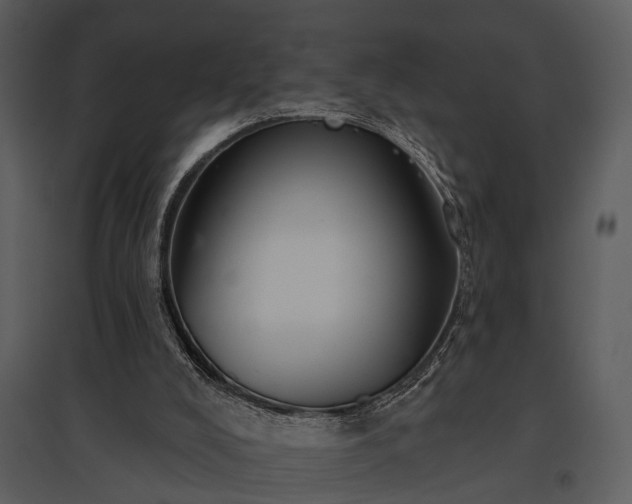 X0000095670008200801151114