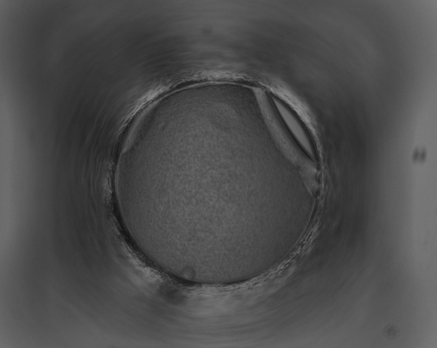 X0000095670009200801151114