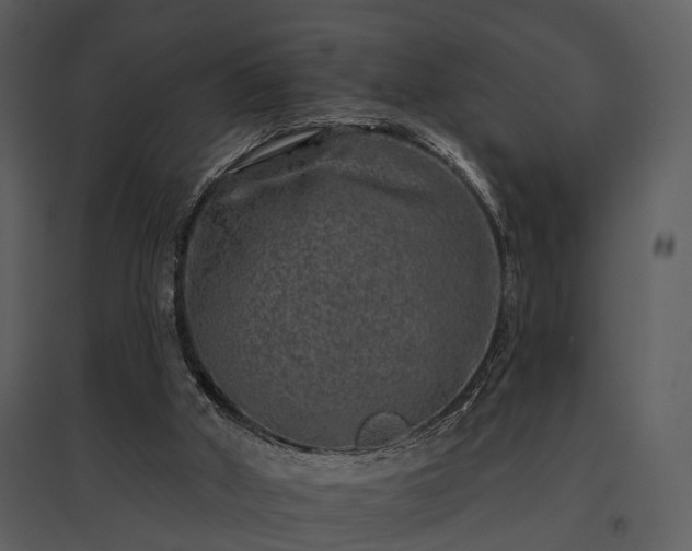 X0000095670010200801151114