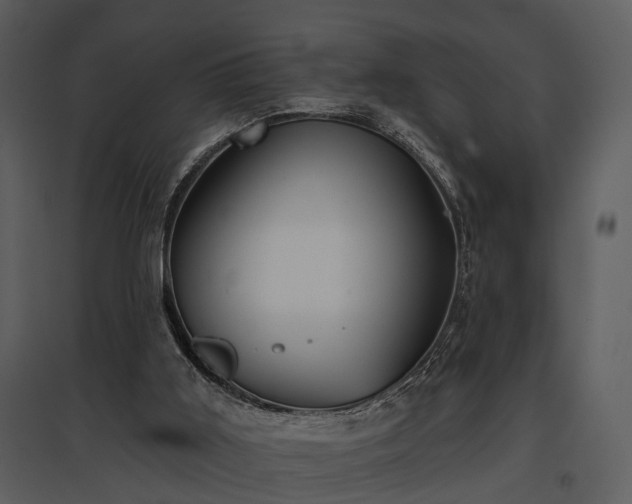 X0000095670011200801151114