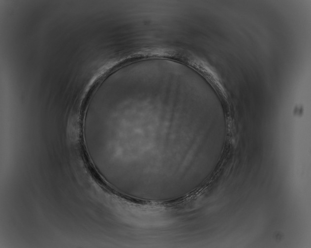 X0000095670012200801151114