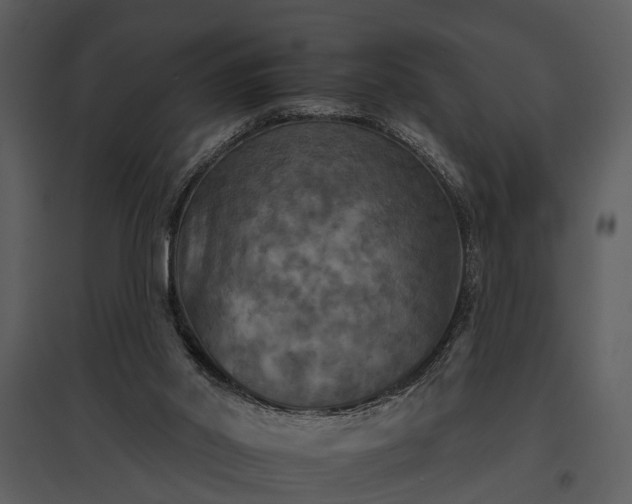 X0000095670014200801151114