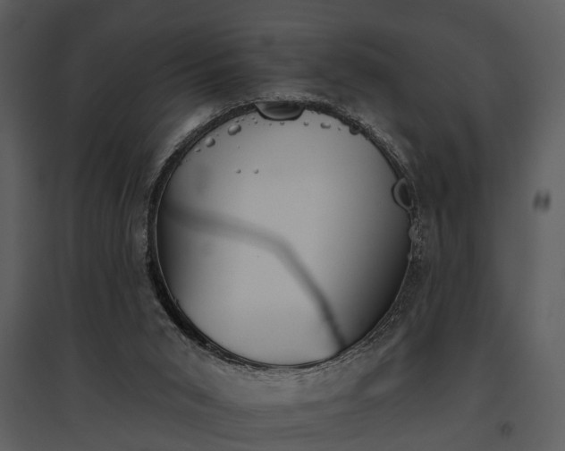 X0000095670015200801151114