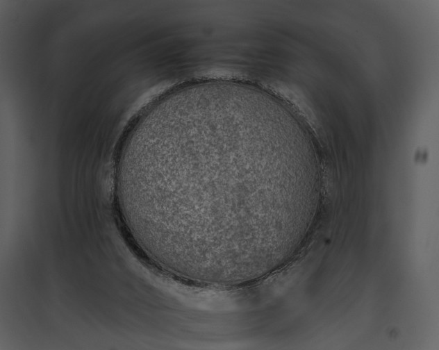 X0000095670016200801151114