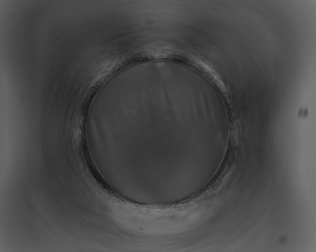 X0000095670018200801151114