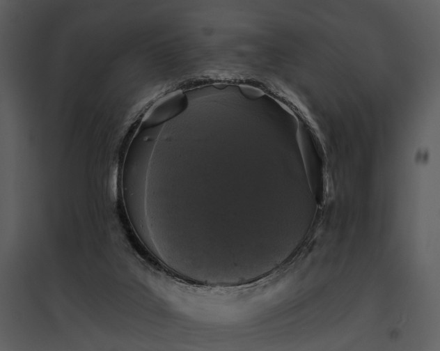 X0000095670019200801151114