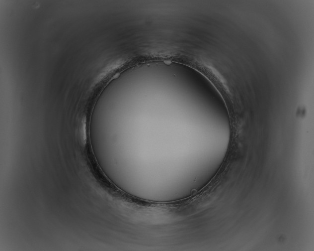 X0000095670020200801151114