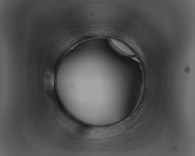 X0000095670021200801151114