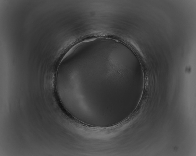 X0000095670023200801151114