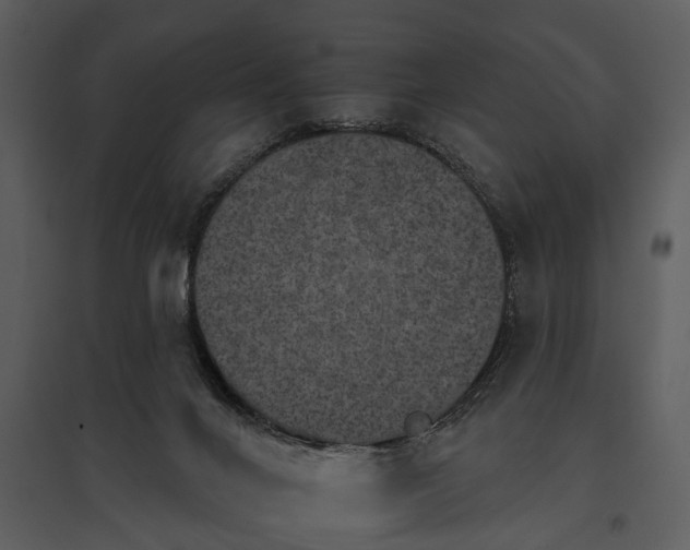 X0000095670024200801151114