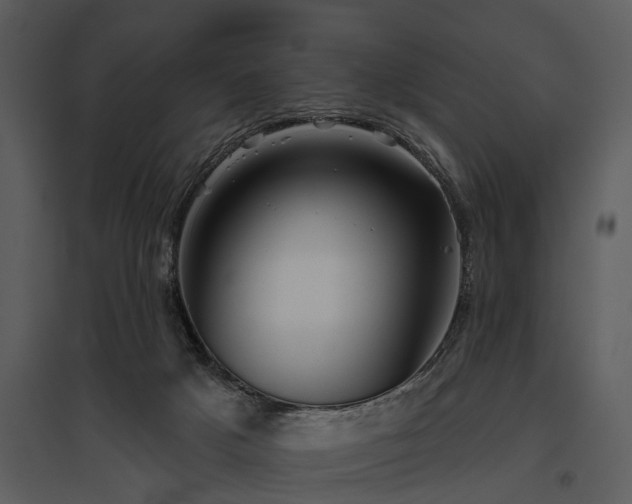 X0000095670025200801151114