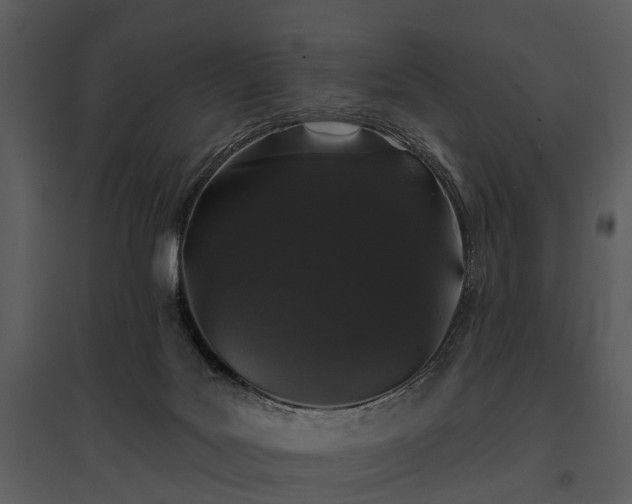 X0000095670027200801151113