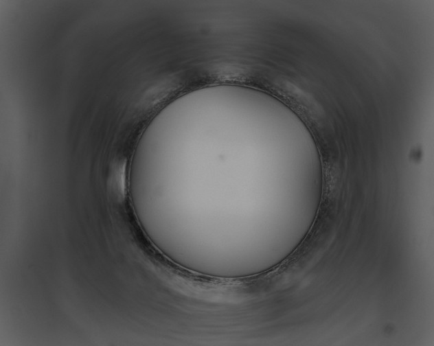 X0000095670028200801151113