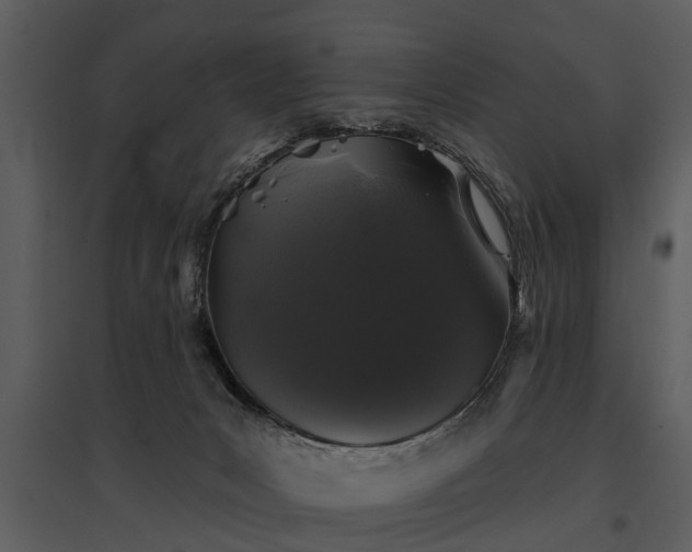 X0000095670031200801151113