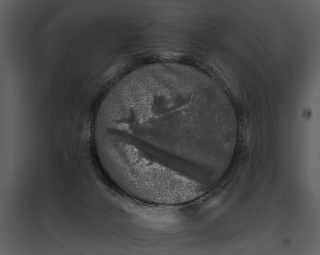 X0000095670032200801151113