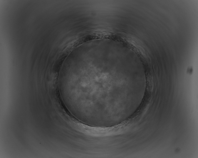 X0000095670034200801151113