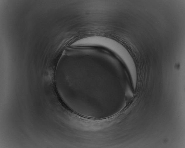 X0000095670035200801151113