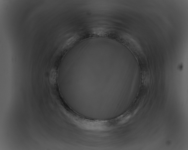 X0000095670036200801151113