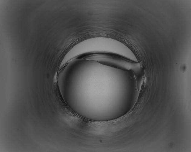 X0000095670041200801151113