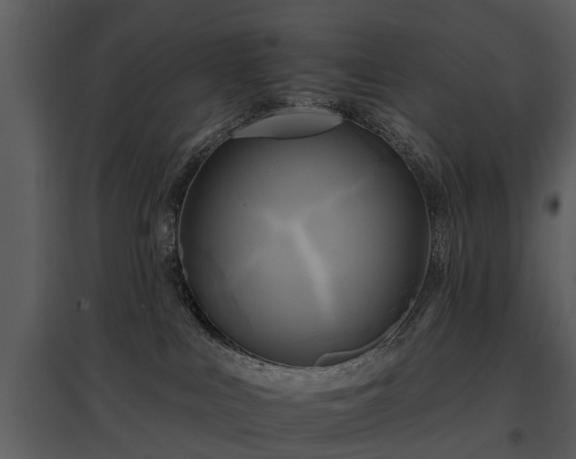 X0000095670043200801151113