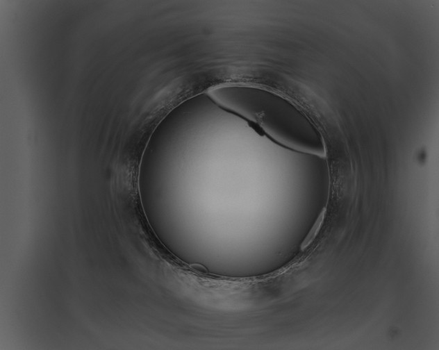 X0000095670044200801151113