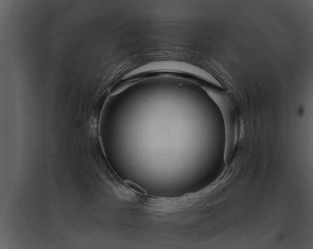 X0000095670045200801151113