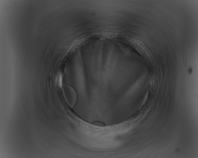 X0000095670046200801151113