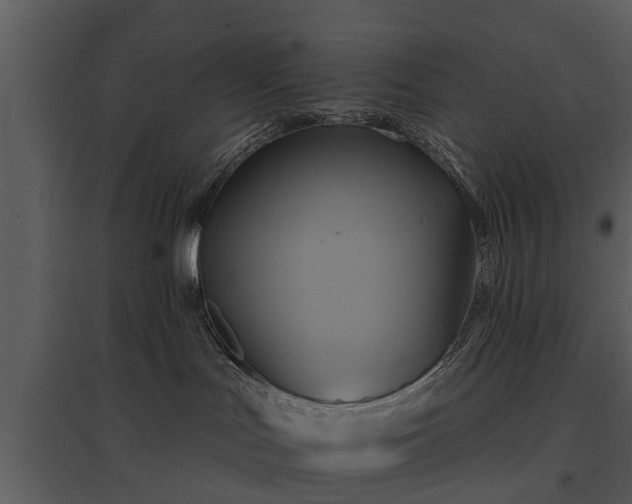 X0000095670047200801151113