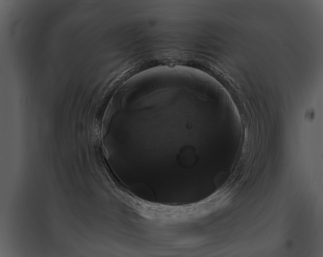 X0000095670048200801151113