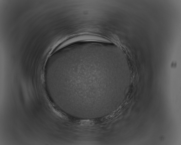 X0000095670050200801151113