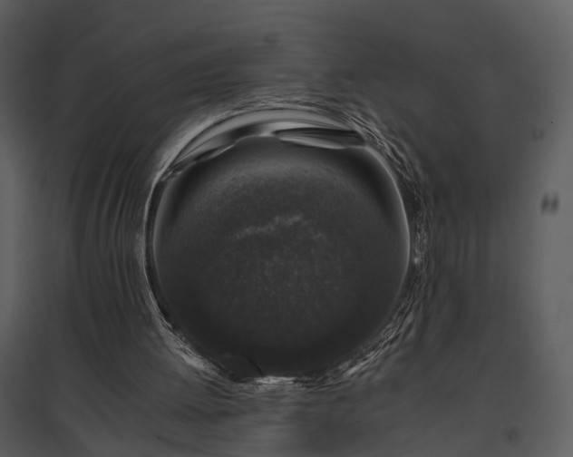 X0000095670052200801151113