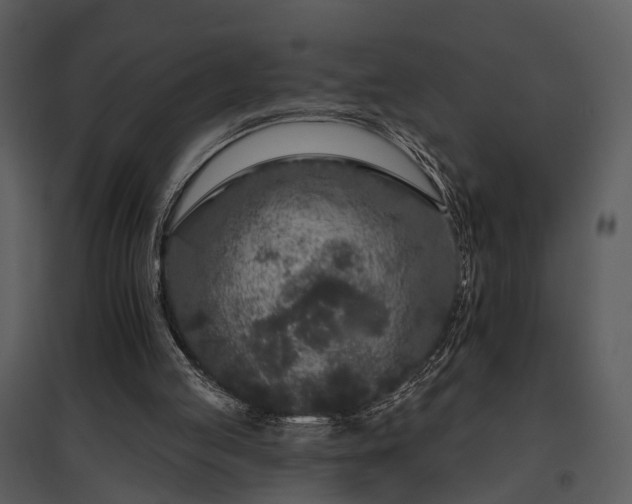 X0000095670053200801151113