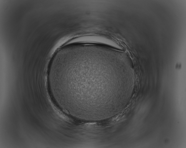 X0000095670054200801151113