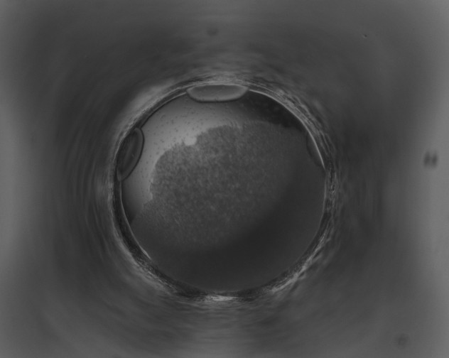 X0000095670055200801151113