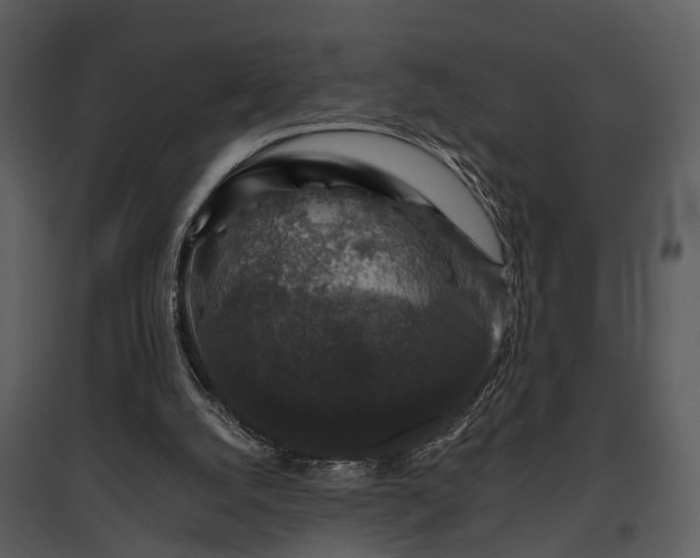 X0000095670056200801151113