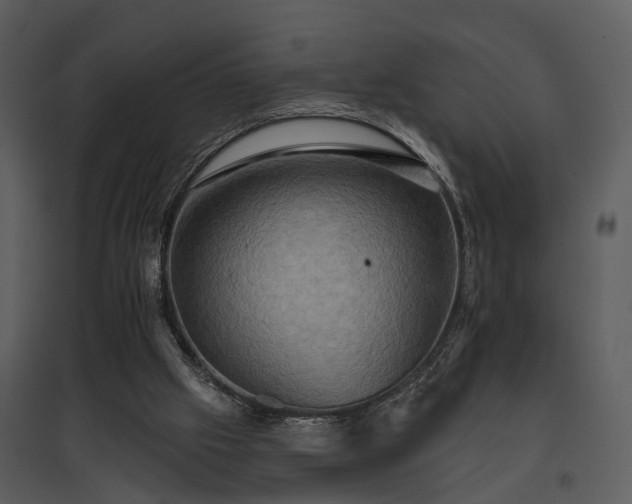 X0000095670057200801151113