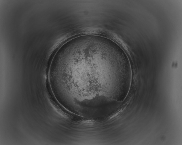 X0000095670059200801151113