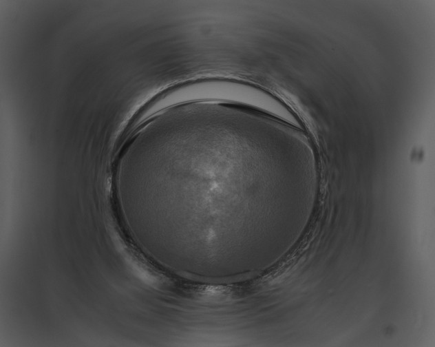 X0000095670060200801151113