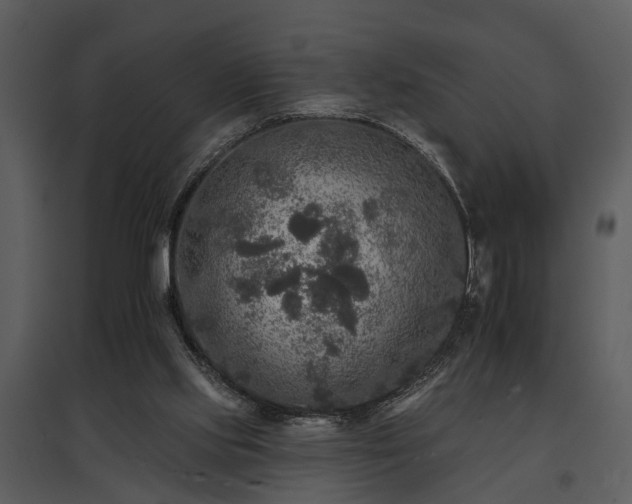 X0000095670061200801151113