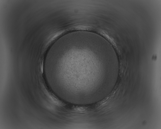 X0000095670062200801151113