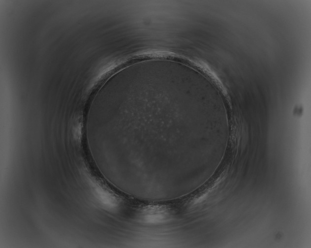 X0000095670063200801151113