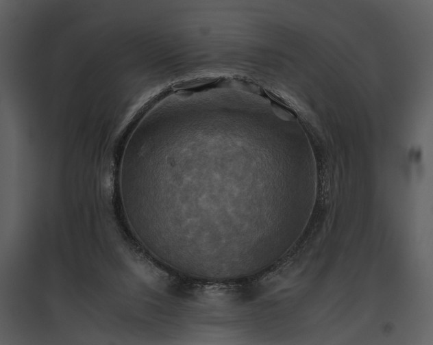 X0000095670064200801151113