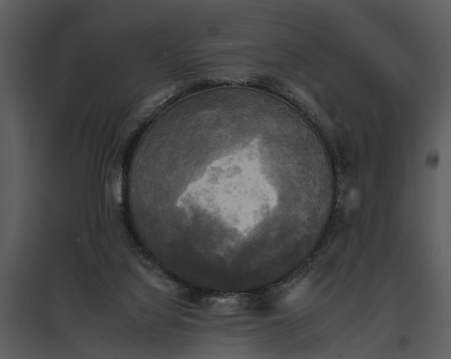 X0000095670068200801151113