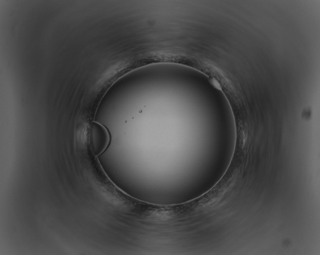 X0000095670071200801151113